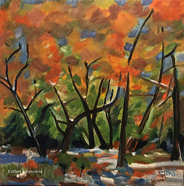 Arboles en Otoño